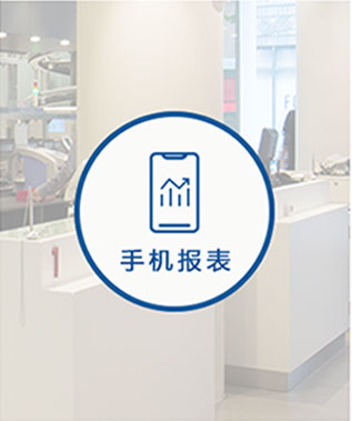 手机报表